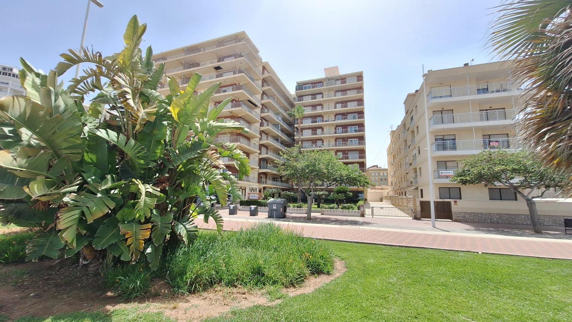 Gandia Primera Linea Caracola Beach View 외부 사진